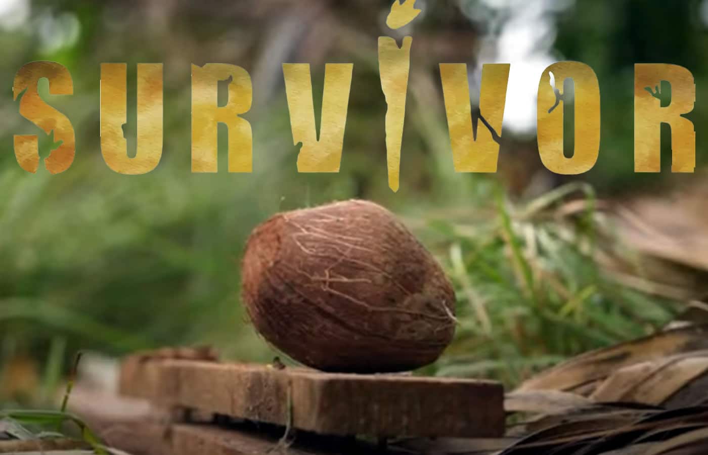 Survivor 2024