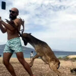 Viral βίντεο